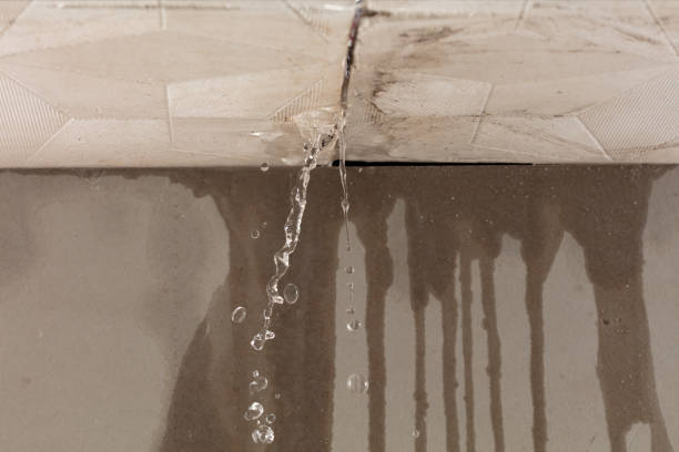 Professional Sewage Cleanup technician working in Harrogate, TN